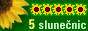 5 Sonnenblumen - die beste Software von Slunecnice.cz